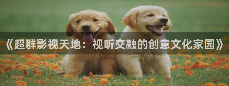 在线观看八戒影视免费：《超群影视天地：视听交融的创意文化家园》